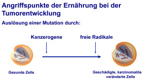 Ernährung & Tumorbildung